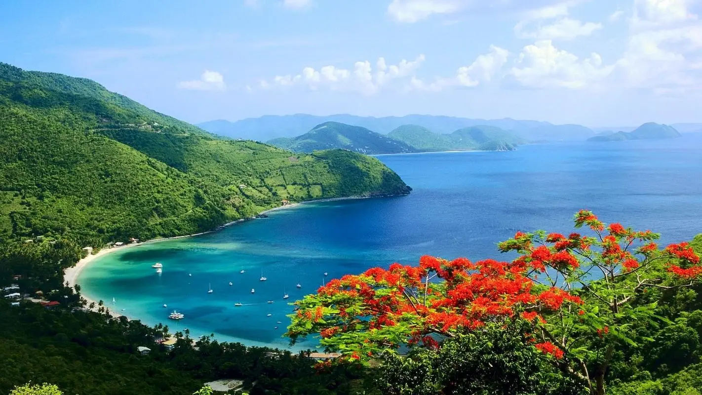 高质量先进智能